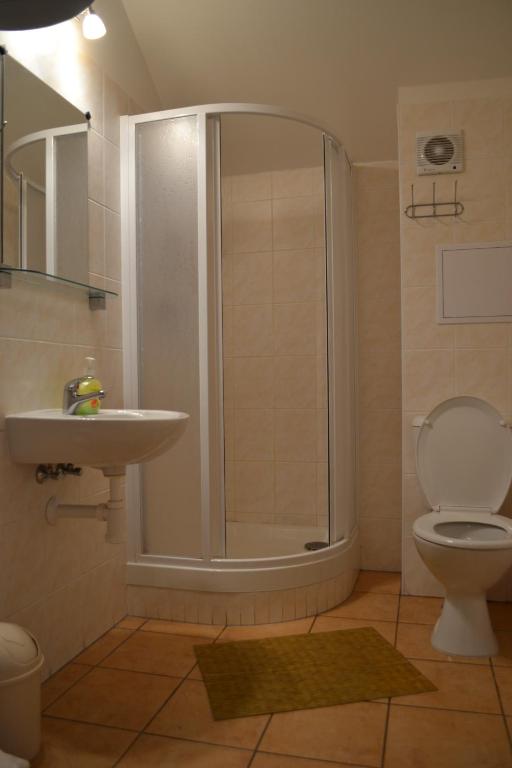 łazienka z prysznicem, toaletą i umywalką w obiekcie Orbit Karlov pod Pradědem w mieście Malá Morávka