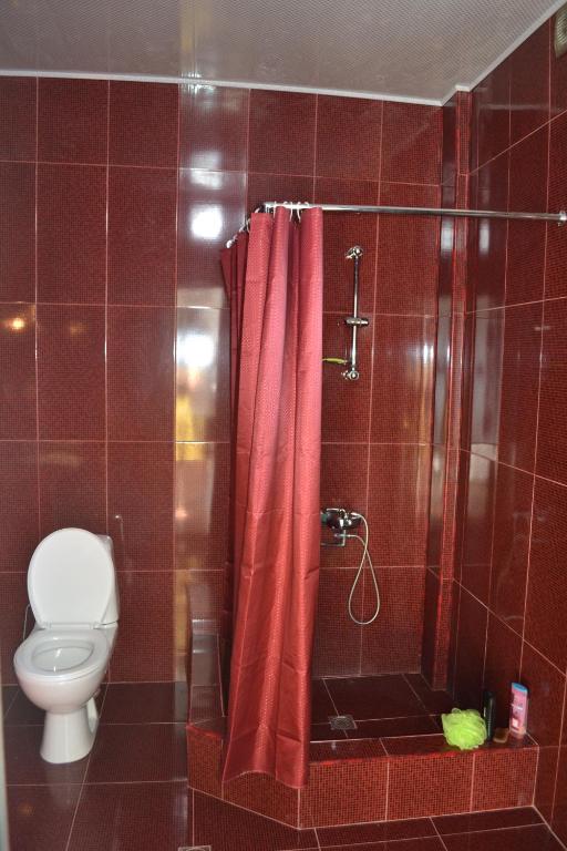 Koupelna v ubytování Shalva Apartment