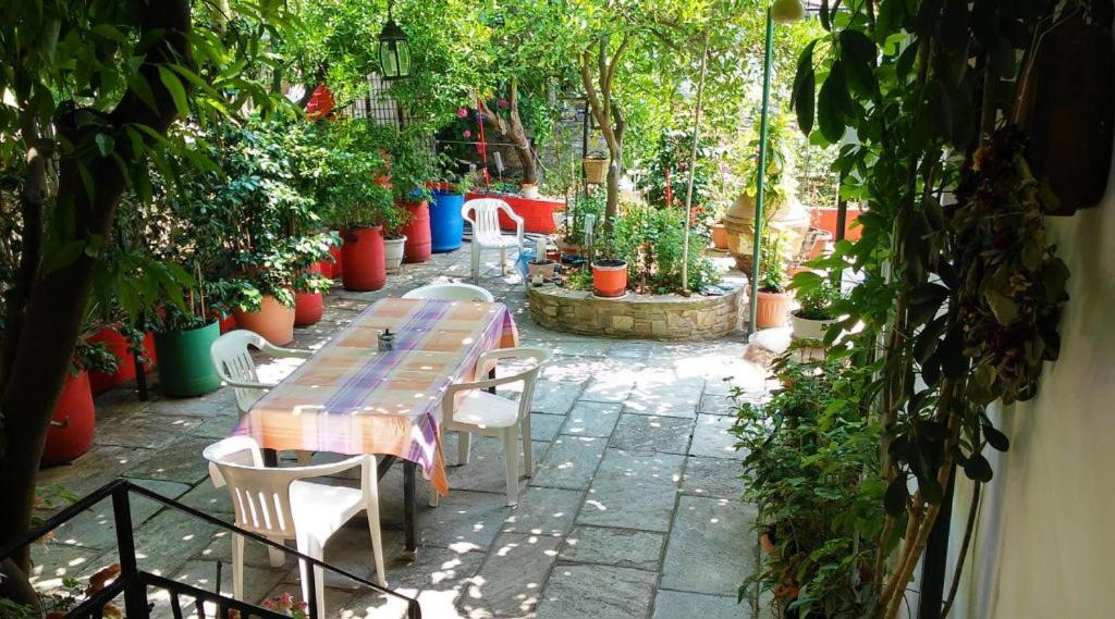 une table et des chaises dans un jardin avec des plantes en pot dans l'établissement Garden of Edem, à Áfissos
