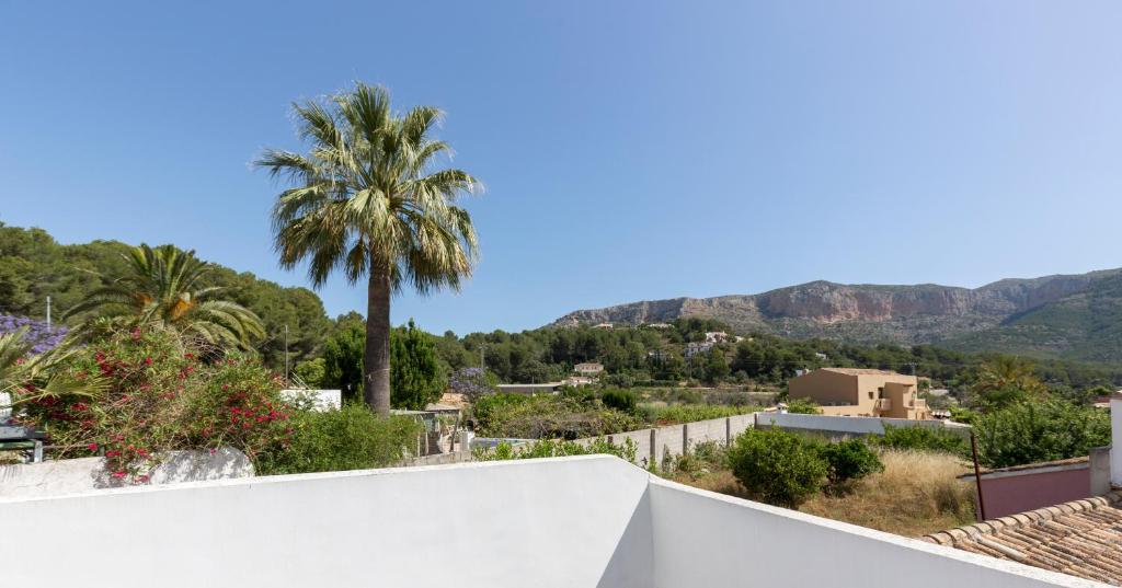 una vista desde el techo de una casa con una palmera en Hostal Tres Molins, en Jesús Pobre