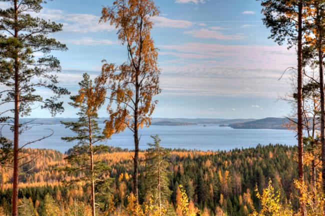 Riihivuori Cottages - Cabaña De Dos Dormitorios Con Sauna