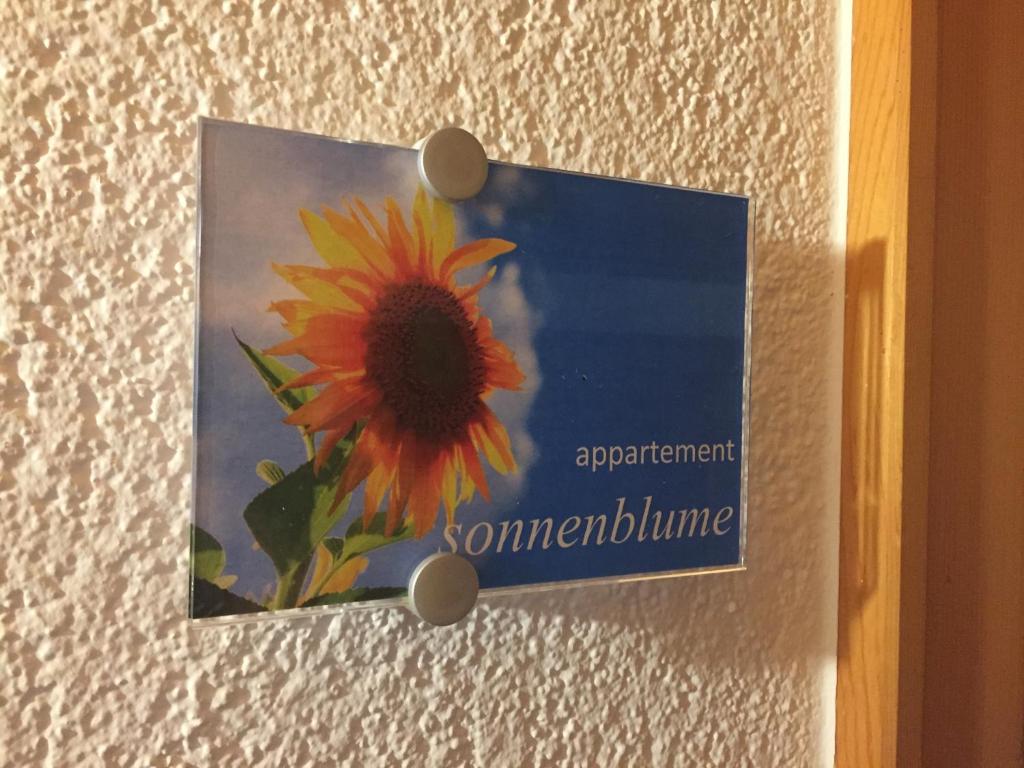 Fotografia z galérie ubytovania Sunnaschi Appartements - Wohnungen oder gesamt als "Hütte" v destinácii Laterns