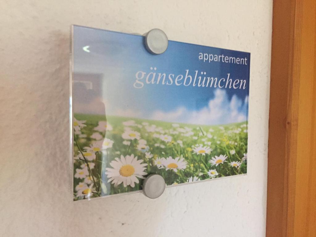 Fotografia z galérie ubytovania Sunnaschi Appartements - Wohnungen oder gesamt als "Hütte" v destinácii Laterns