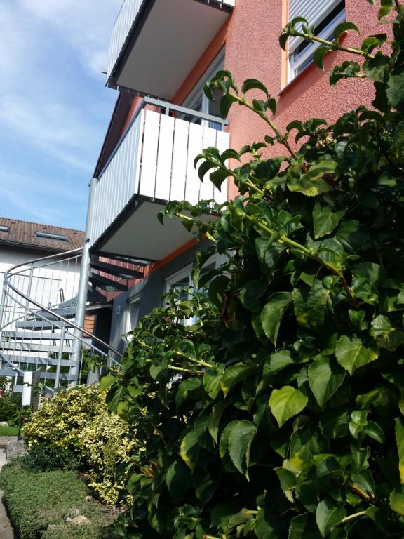 Zahrada ubytování Ferienwohnung Wünsche