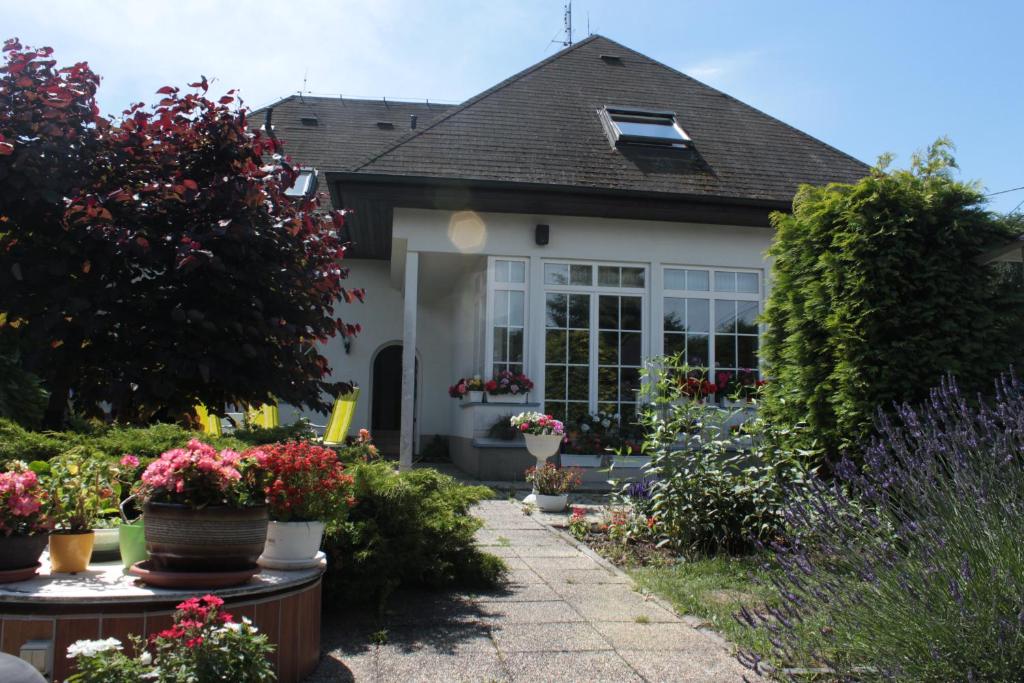 a house with potted plants in the garden at Homestay Svatá in Svatá