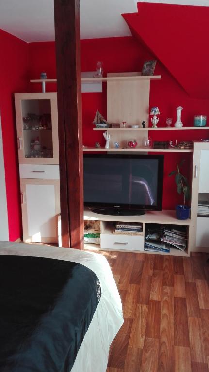 TV a/nebo společenská místnost v ubytování Homestay Svatá