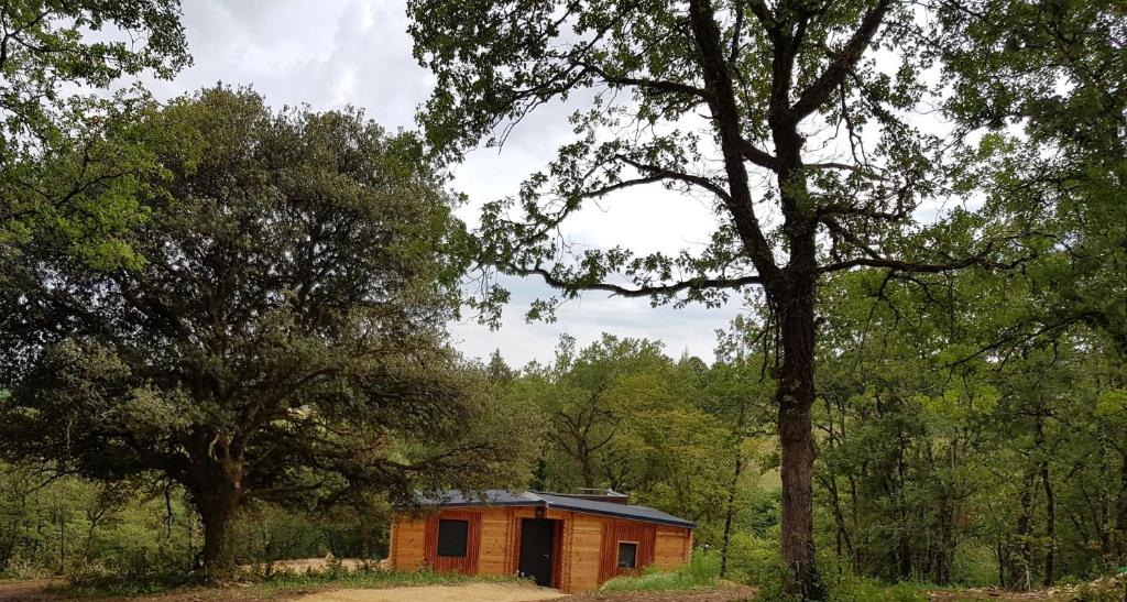 モンティニャックにあるGîtes du Chêne Vertの森の中の小さな木造小屋