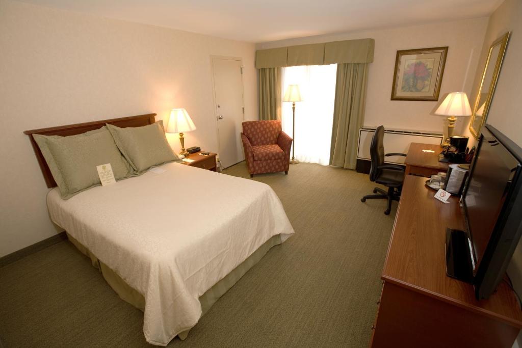 RIT Inn & Conference Center - 1 Double Bed, Court