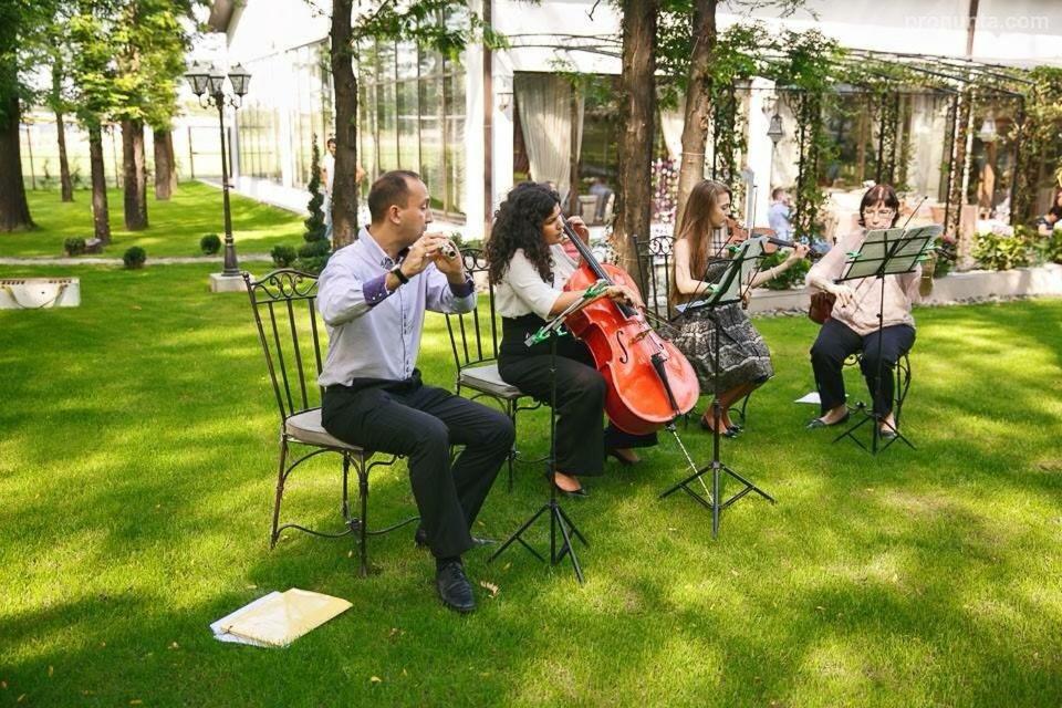 a group of people playing music on the grass at Han Poienita in Rîmnicu Sărat