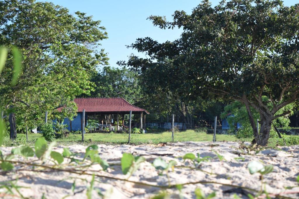  Pousada Holístico Marajó