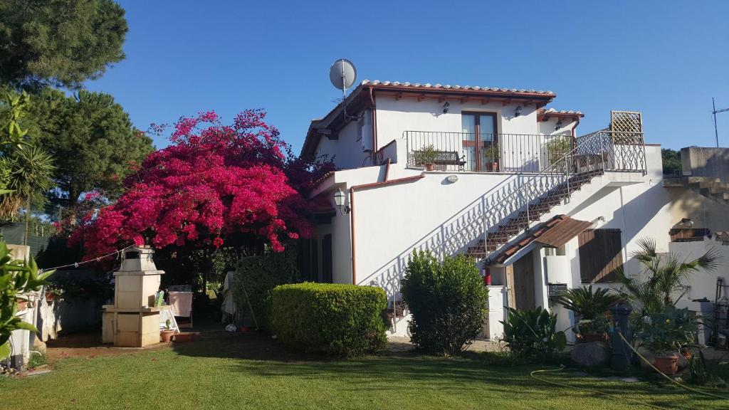 Zahrada ubytování Casa Vacanze " IS MERIS "