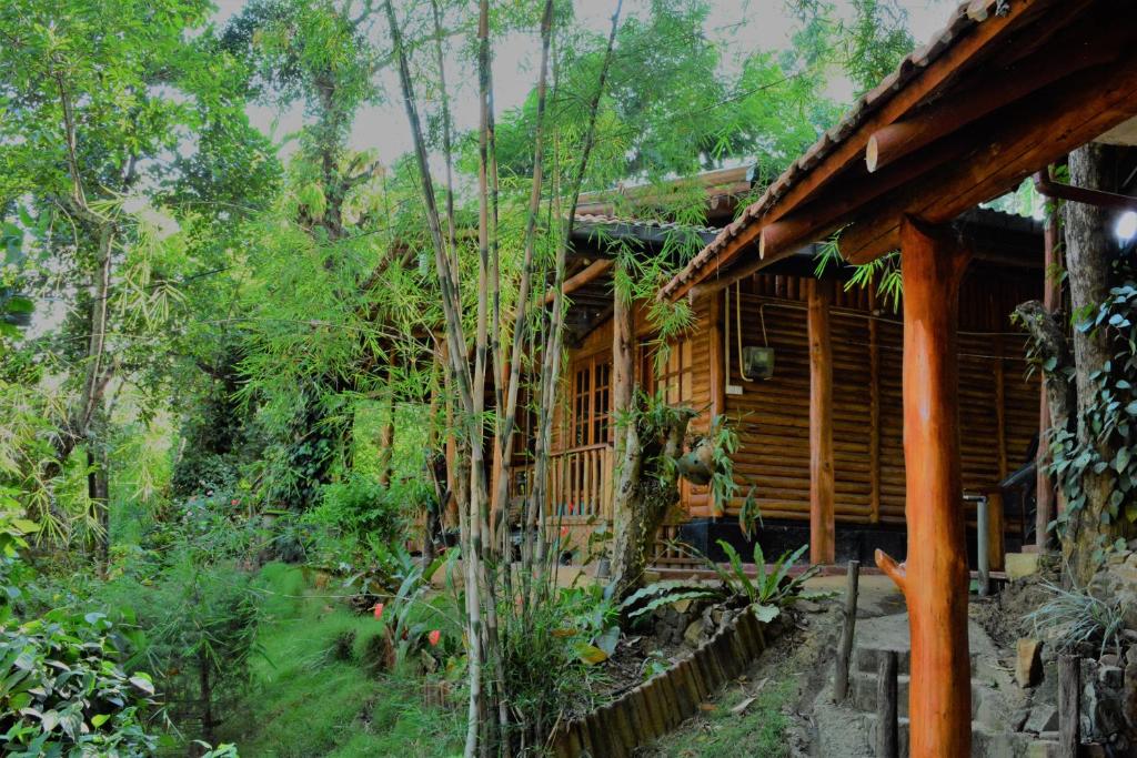 a log cabin in the woods next to a forest at Little Folly in Ella
