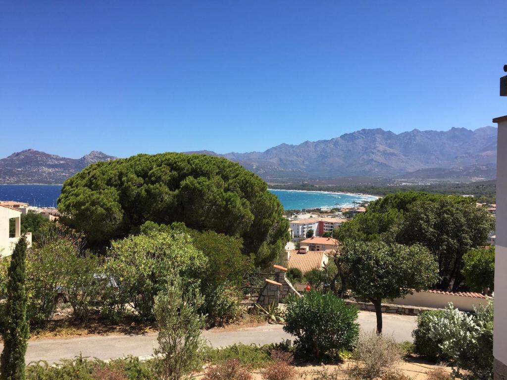 un grupo de árboles frente a un cuerpo de agua en appartement Calvi en Calvi