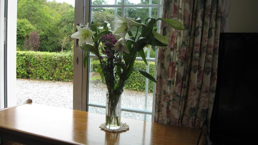 a vase of flowers on a table in front of a window at An Bruachan B&B in Kenmare