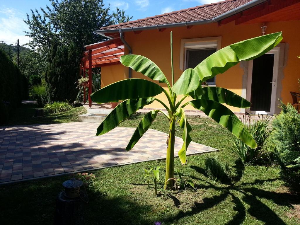 Borostyán Vendégház - Estudio De Apartamento (1-2 Adultos)