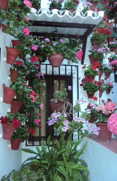 Zahrada ubytování Hostal Los Claveles