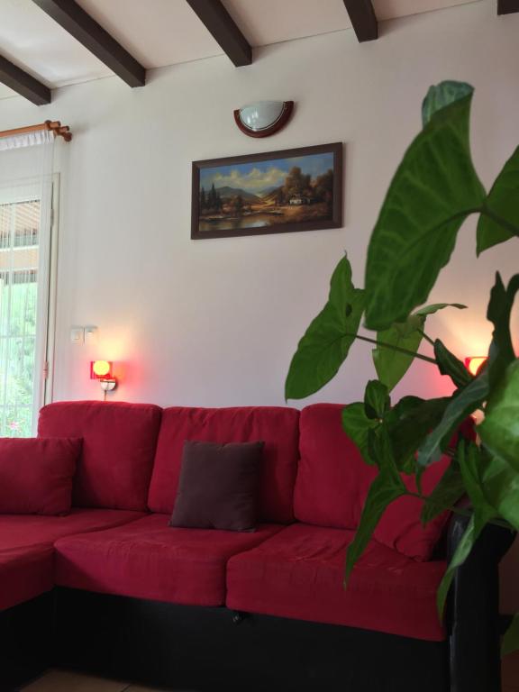 a red couch in a living room with a plant at Meublé de tourisme "Au bord de la Mare" in Salazie