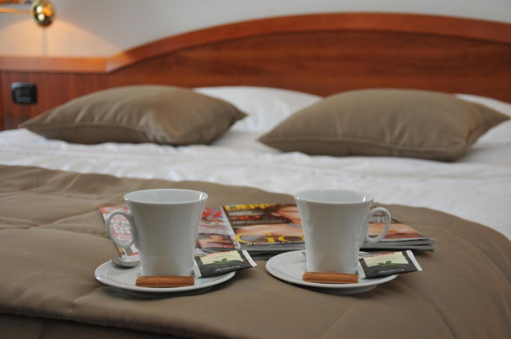 Postel nebo postele na pokoji v ubytování Hotel Terex