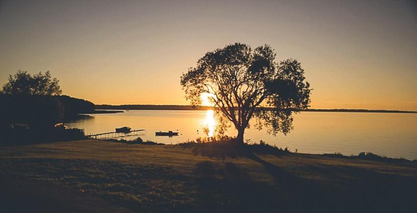 Ein Baum inmitten eines Sees mit Sonnenuntergang in der Unterkunft Ostoja Mazur in Pierkunowo