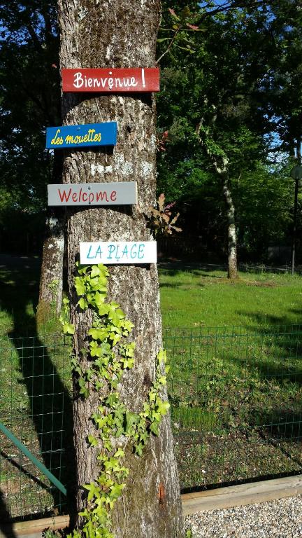 a tree with signs on the side of it at Salamandre et Hippocampe in Lanton