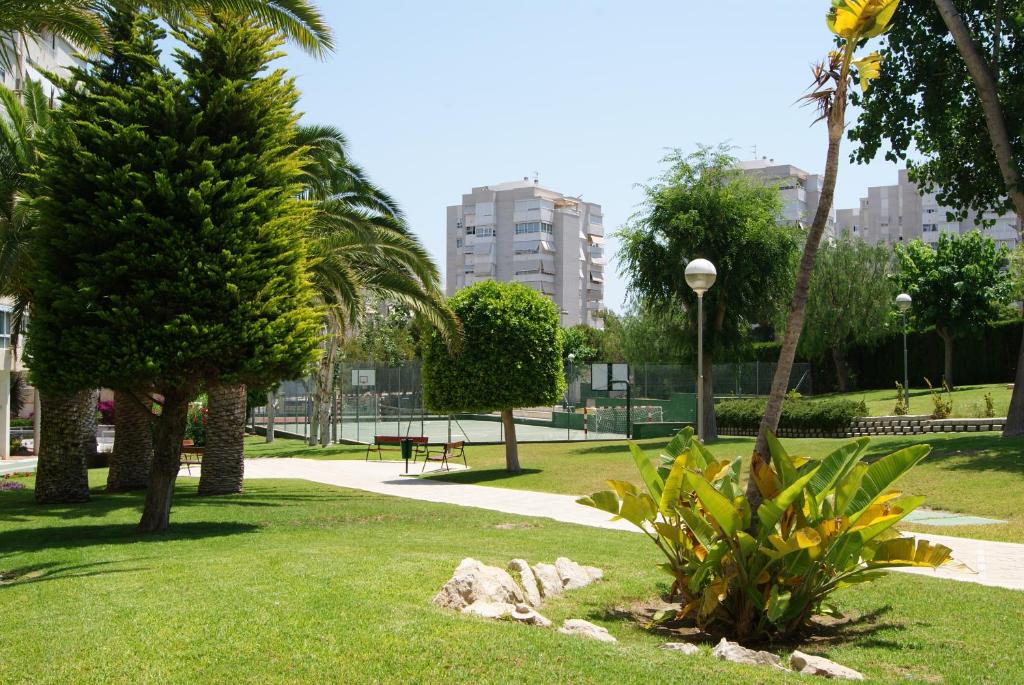 einen Park mit Palmen und Bürgersteig in der Unterkunft Costa Blanca Apartment in Alicante