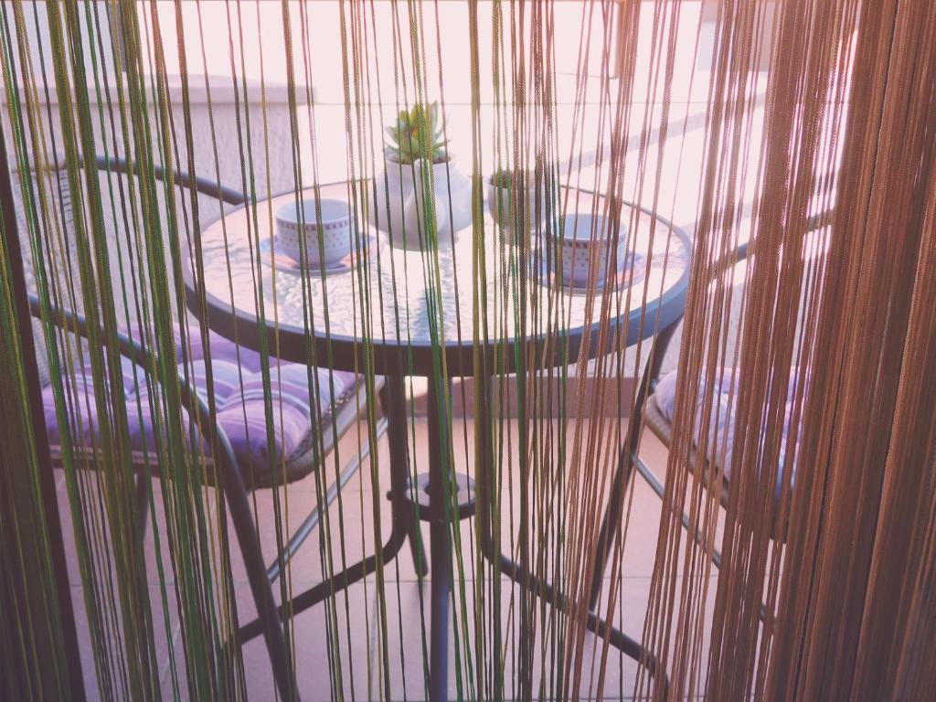 una mesa con sillas y una planta en una jaula en Luciana, en Zadar