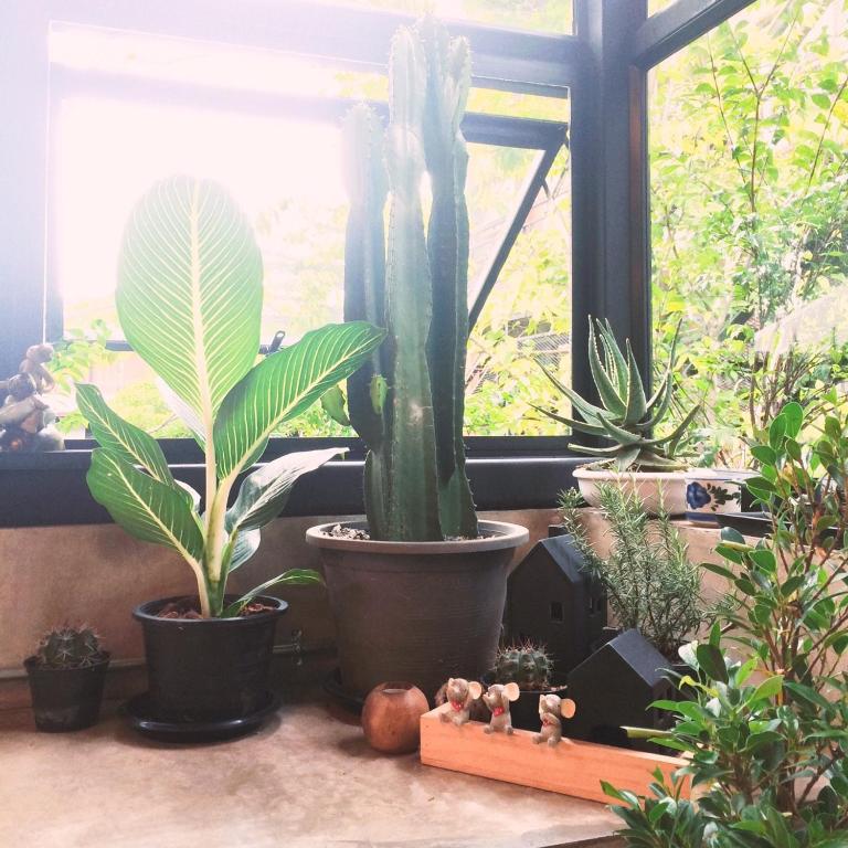 The Wishes Hotel at Chiangmai - Resim 14