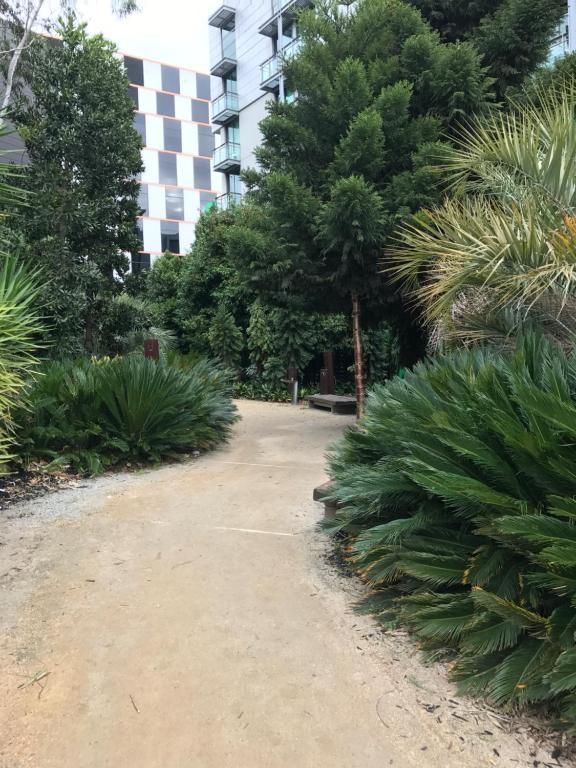 Docklands Private Collection - City Harbour Apartments - Resim 36