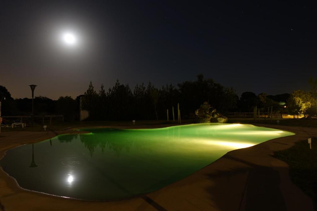 Bazén v ubytování Ardea Purpurea nebo v jeho okolí