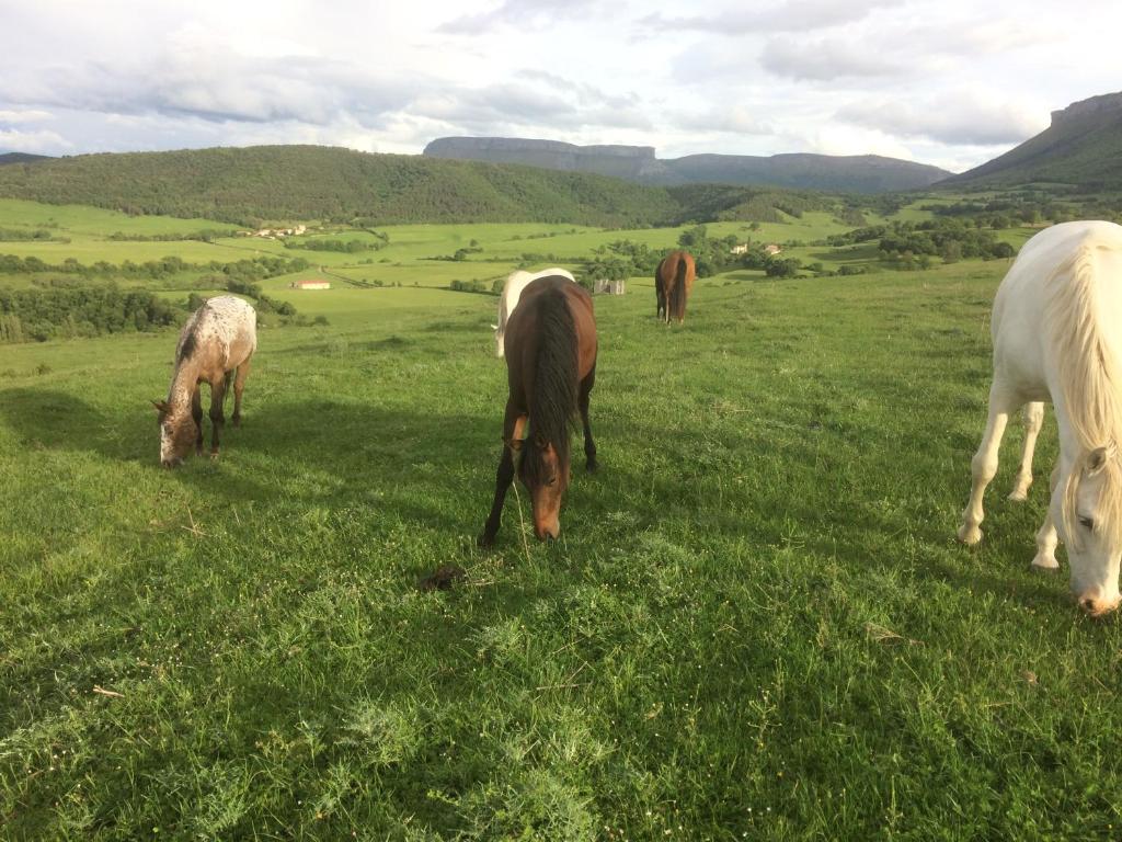 Hostia v ubytovaní Casa Rural el Ribero I