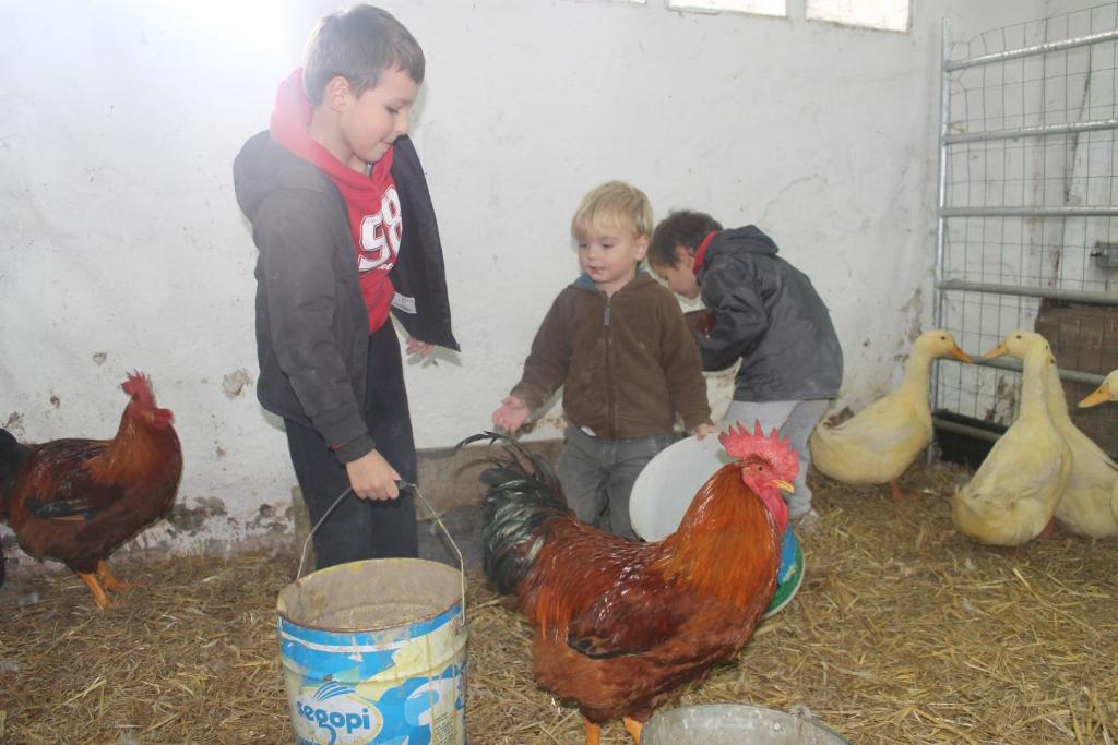Hostia v ubytovaní Casa Rural el Ribero I