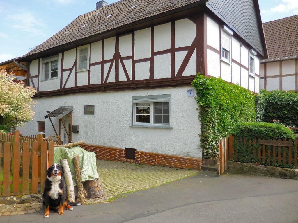 FrielendorfにあるSmall apartment in Hesse with terrace and gardenの家の前に座る犬
