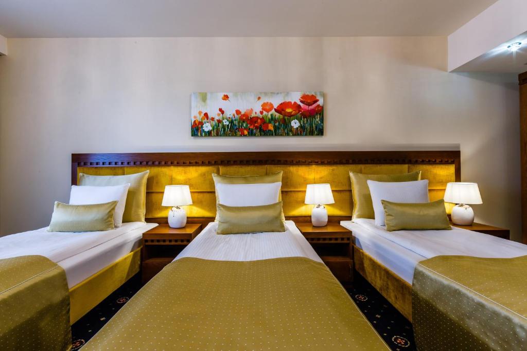 Grein Hotel - Resim 26