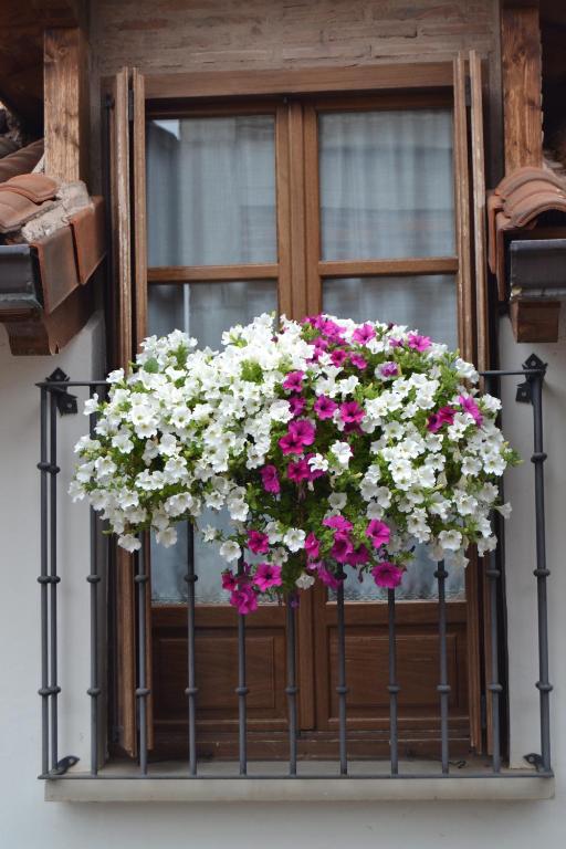 a window box filled with flowers on a window sill at Apartamentos La Buhardilla in Ezcaray