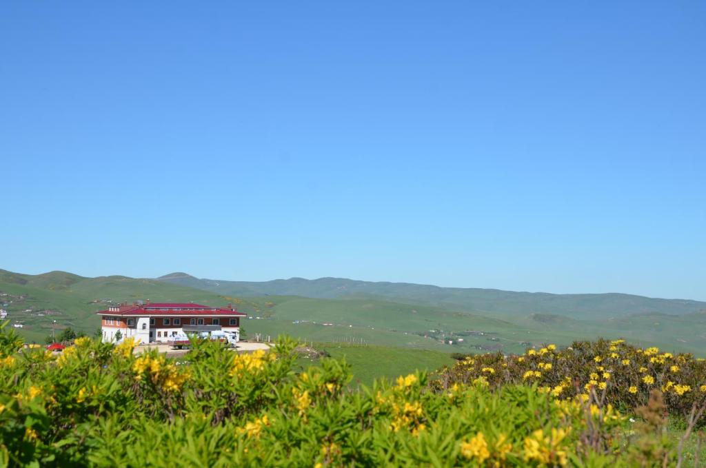 a house on top of a hill with flowers at Belen Yayla Otel in Aybastı