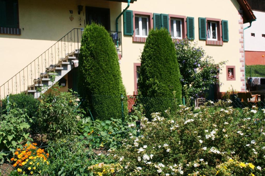 a garden in front of a house with bushes at Dani`s Ferienwohnung in Freiamt