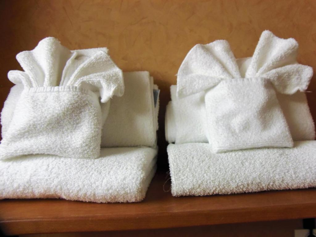 Rosslyn Inn & Suites - Resim 22