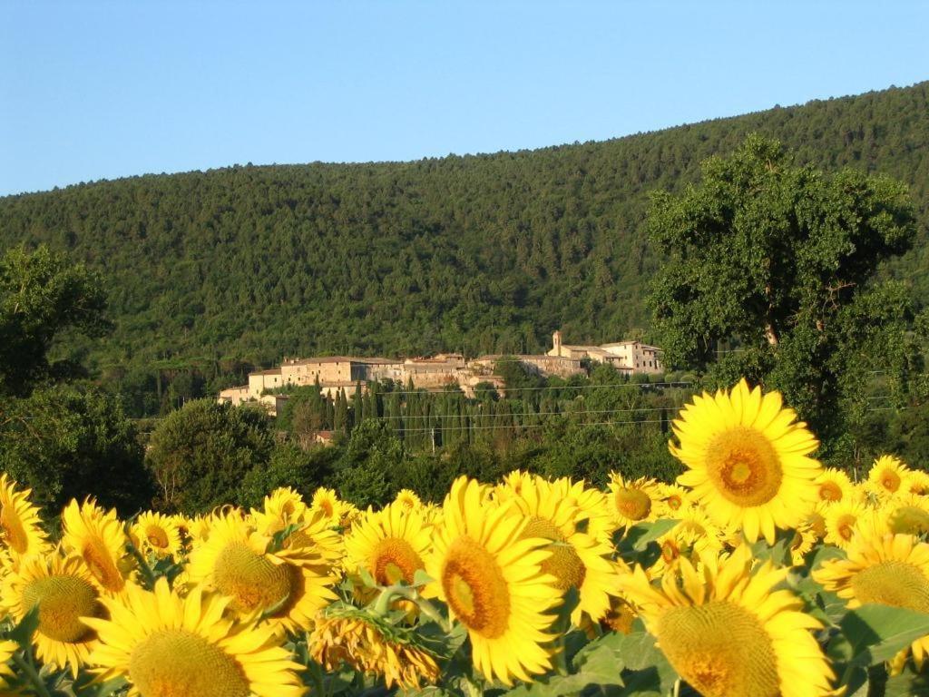 StiglianoにあるSiena Vecchia Vacanzeの山前の黄色いひまわり畑