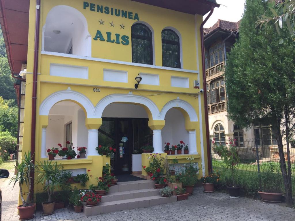 a yellow and white building with plants in front of it at Pensiunea Alis in Călimăneşti