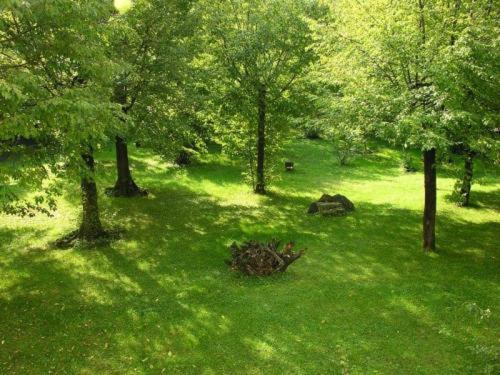 Zahrada ubytování Residence Antico Crotto