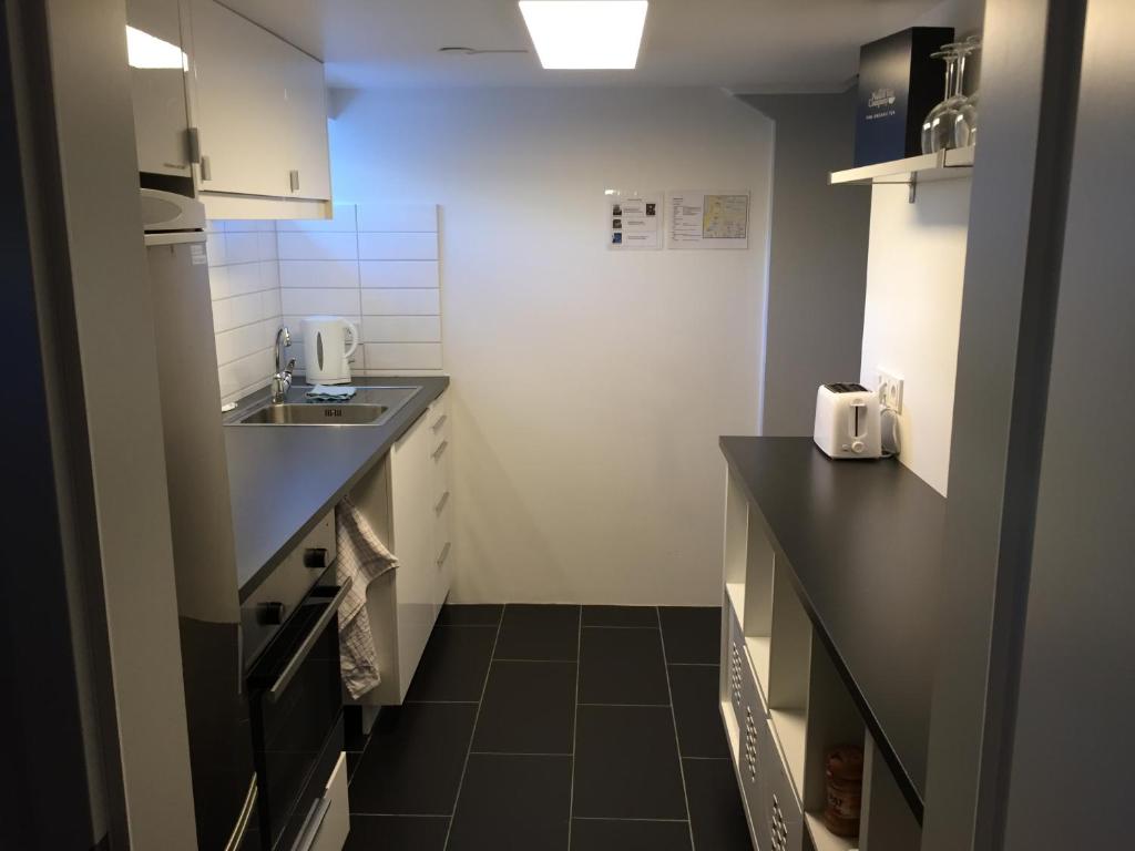 Kuchyň nebo kuchyňský kout v ubytování Ubak Guesthouse