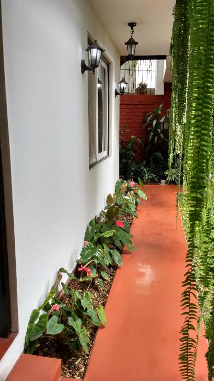 Zahrada ubytování Residencial Carlos