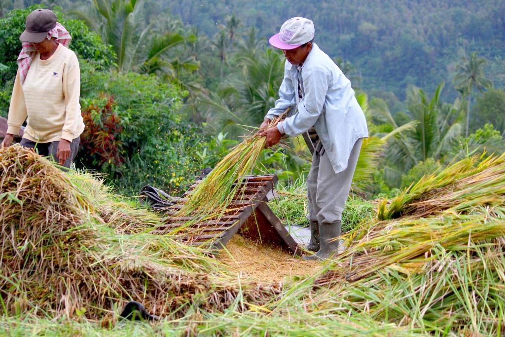 Hosté ubytování Bali Bening