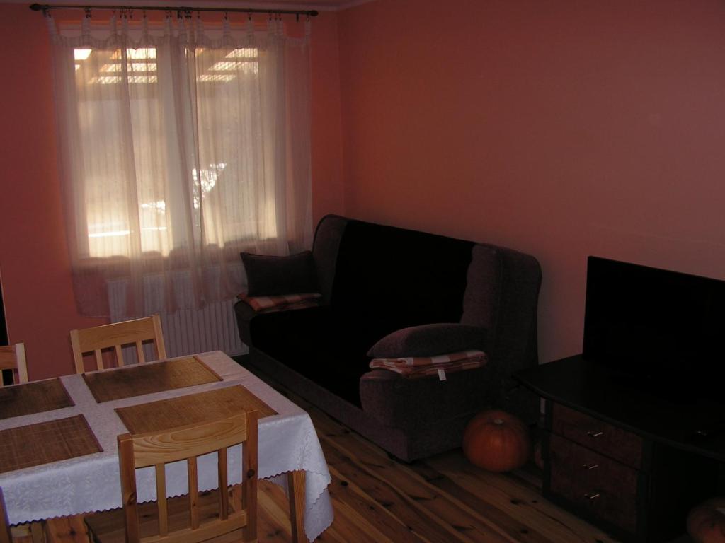 uma sala de estar com um sofá e uma mesa em Winnica Na Leśnej Polanie em Zabór