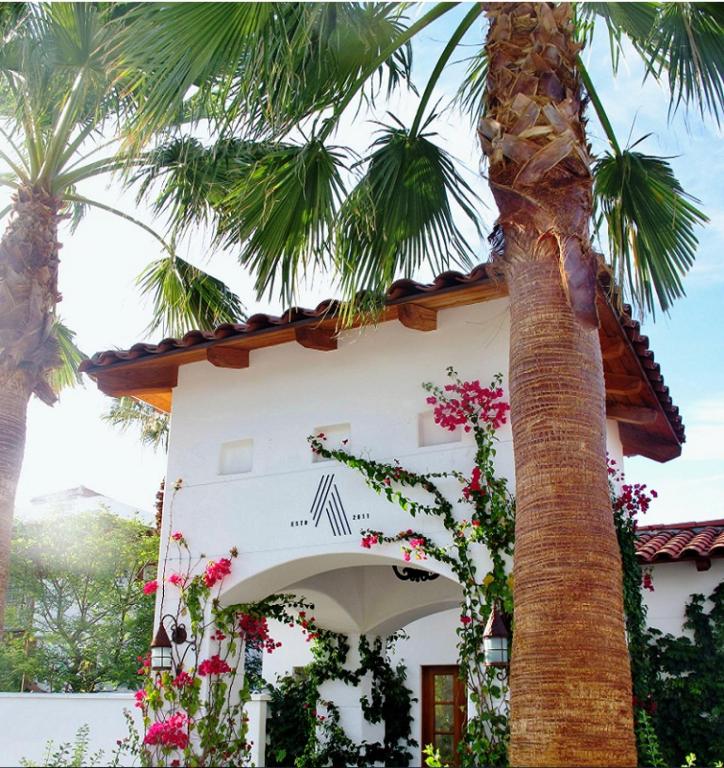 Zahrada ubytování Alcazar Palm Springs