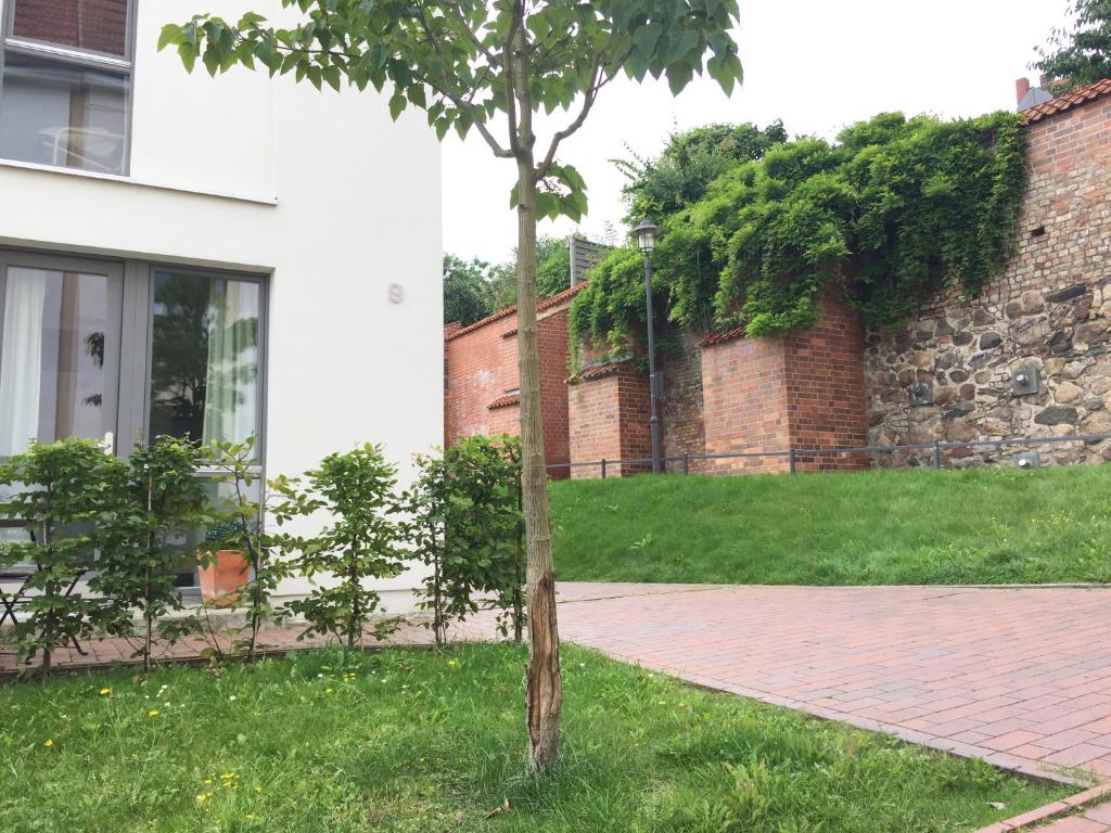 un árbol en la hierba al lado de un edificio en Ferienwohnung an der historischen Stadtmauer en Rostock