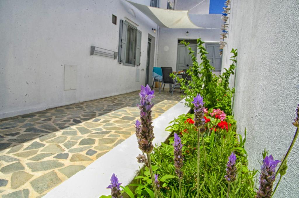 Zahrada ubytování Lindos Tholos Villa