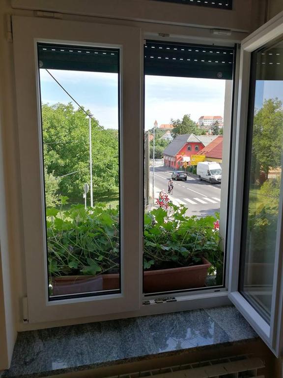 Zahrada ubytování Hostel Sonce