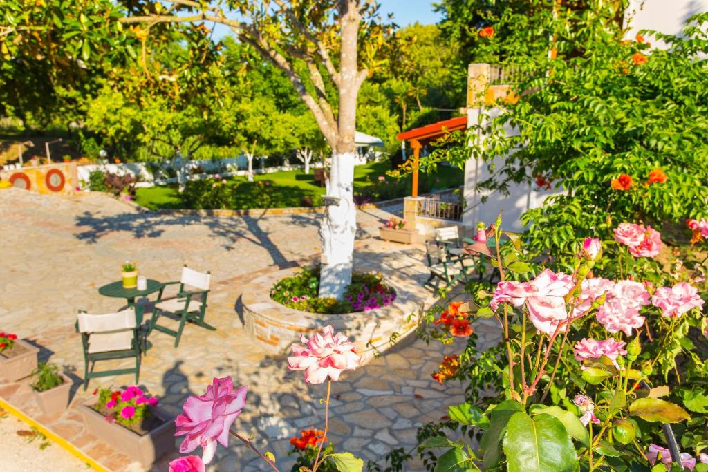 A garden outside Dallas Valtos Studios