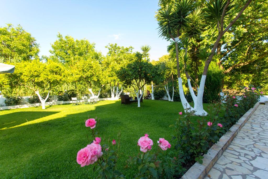 A garden outside Dallas Valtos Studios
